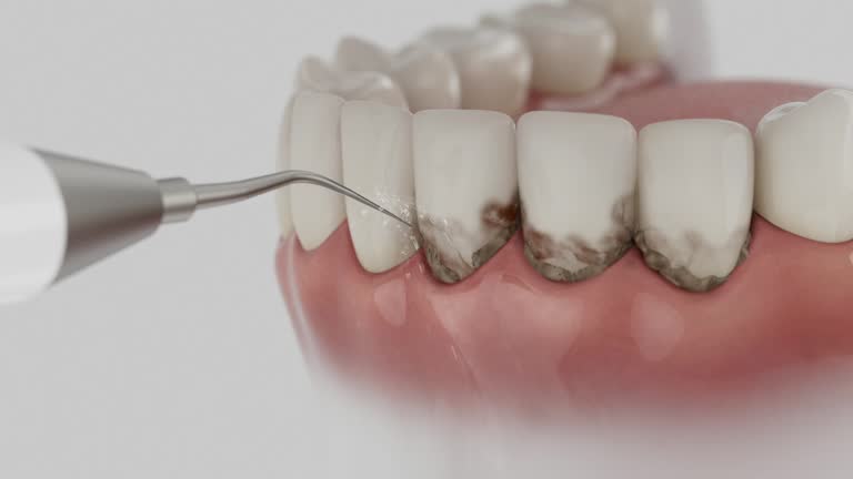 Reliable Dental contractor in Callaway, MD by Dentist Open Now